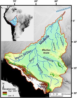 Estimation of the Madeira floodplain dynamics from 2008 to 2018